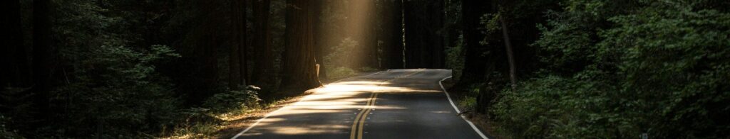 empty concrete road covered surrounded by tall tress with sun rays