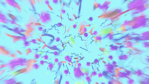 Gut Microbiome, Gut Health, Indigestion, Dyspepsia, Bloating, Gas, Acid Reflux, Burping