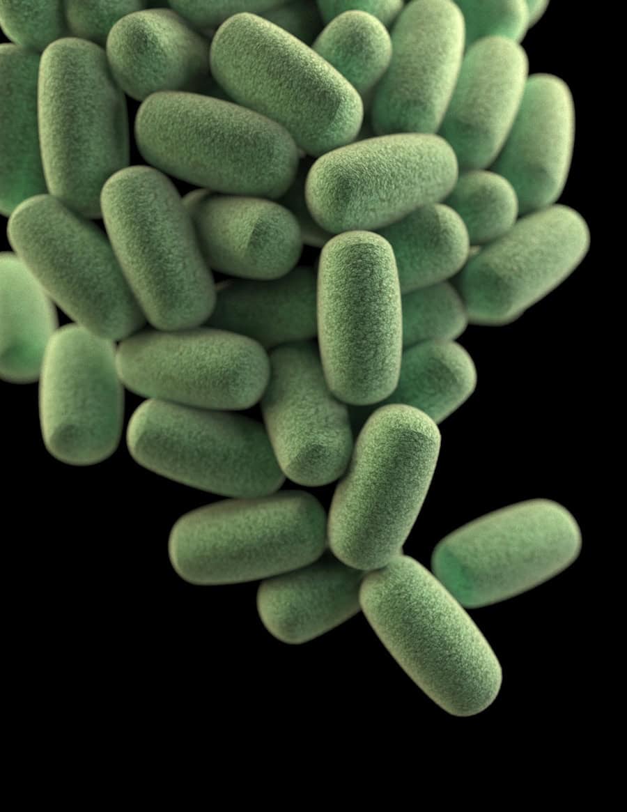 Gut Microbiome, Gut Health, Indigestion, Dyspepsia, Bloating, Gas, Acid Reflux, Burping