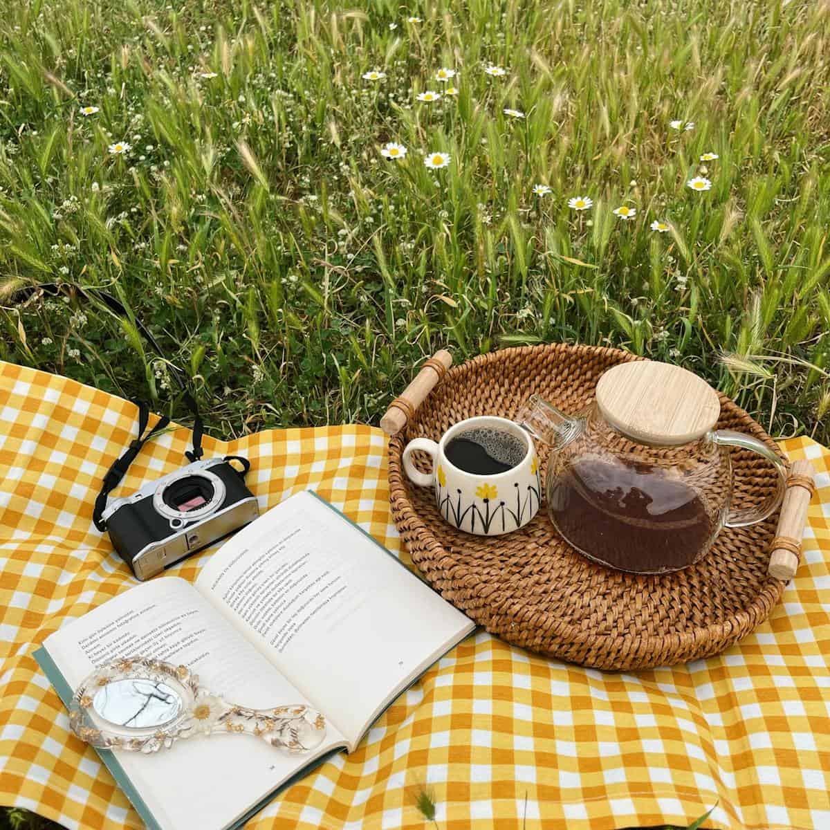 fire sign, astrology, horoscope, zodiac, leo, prediction, future, A charming spring picnic scene with a teapot, book, and flowers on a checkered cloth in a field.