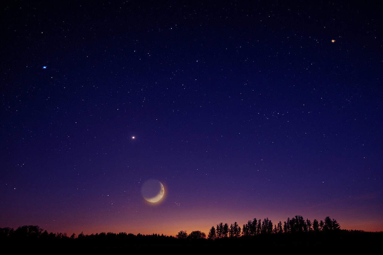 heaven, nature, stars, moon, venus, universe, night, night sky, trees, planetary movements, health, wellness, mindfulness, birth chart, zodiac, self-care