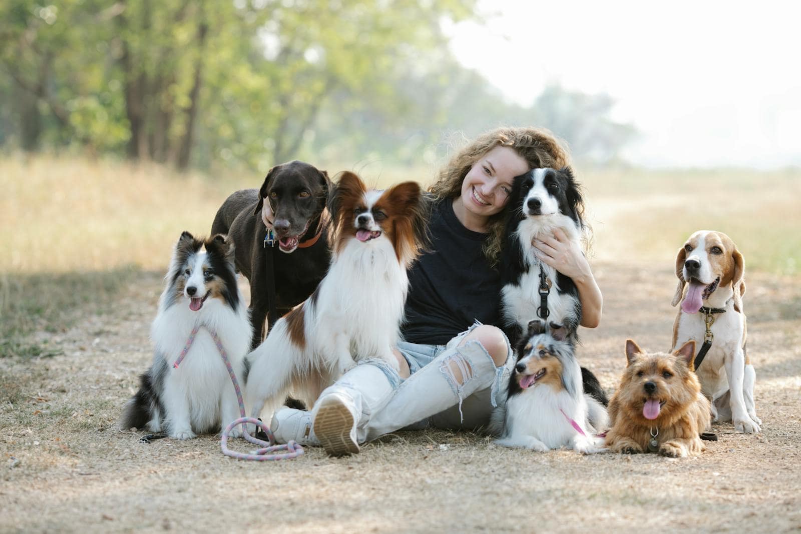 A cheerful woman sitting with various dog breeds in a sunny park, showcasing companionship. Cancer, Astrology, Zodiac