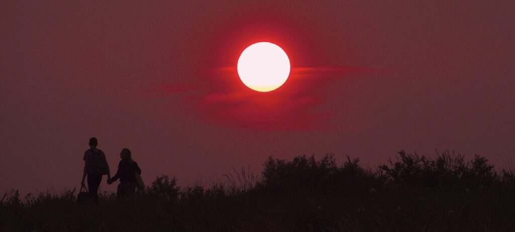 sunset, red, few, love, together, nature, two, friendship, Psychic Reading Online, Relationship Advice, Spiritual Medium, Trusted Psychic, Spiritual Guidance, Life Advice