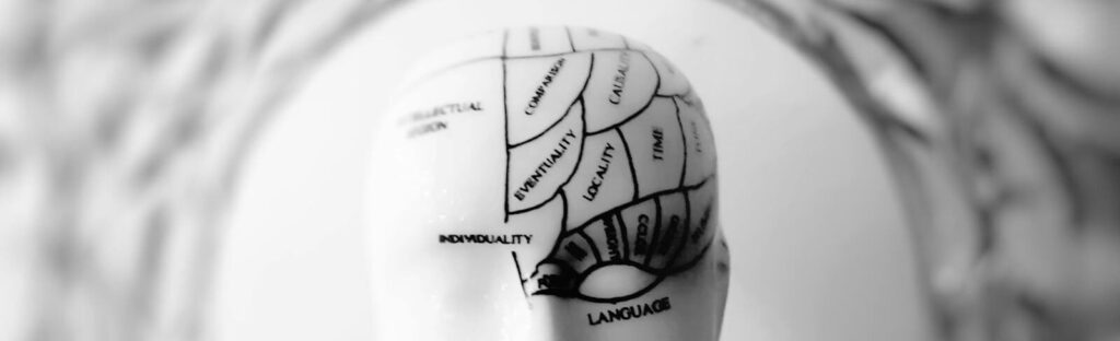 Close-up black and white image of a phrenology head with brain sections labeled.